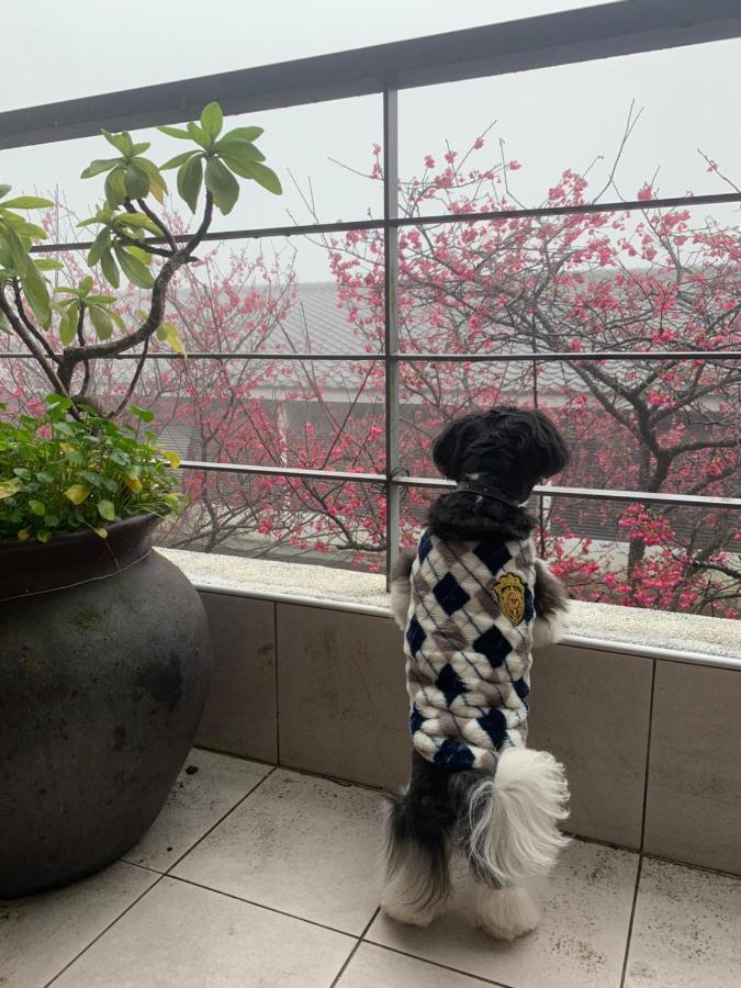 微微风民宿 三义 外观 照片